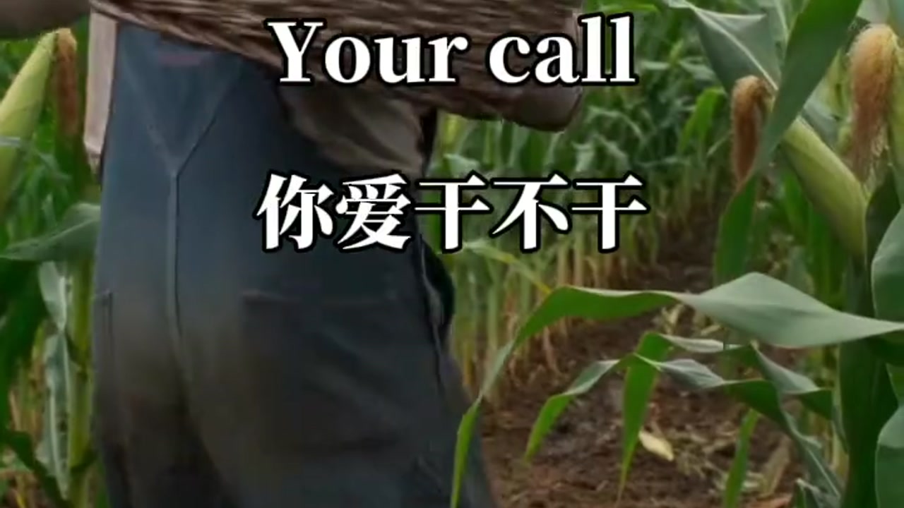 你爱干不干：you call