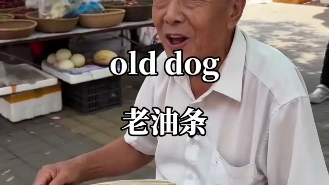 老油条：old dog