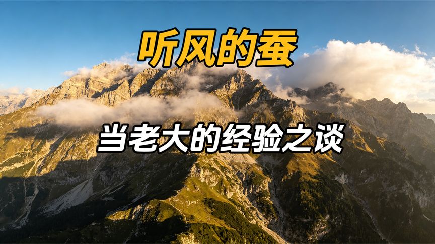 当老大的经验之谈 #听风的蚕