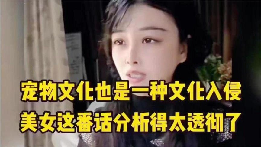 宠物文化也是一种文化入侵，美女这番话分析得太透彻了！
